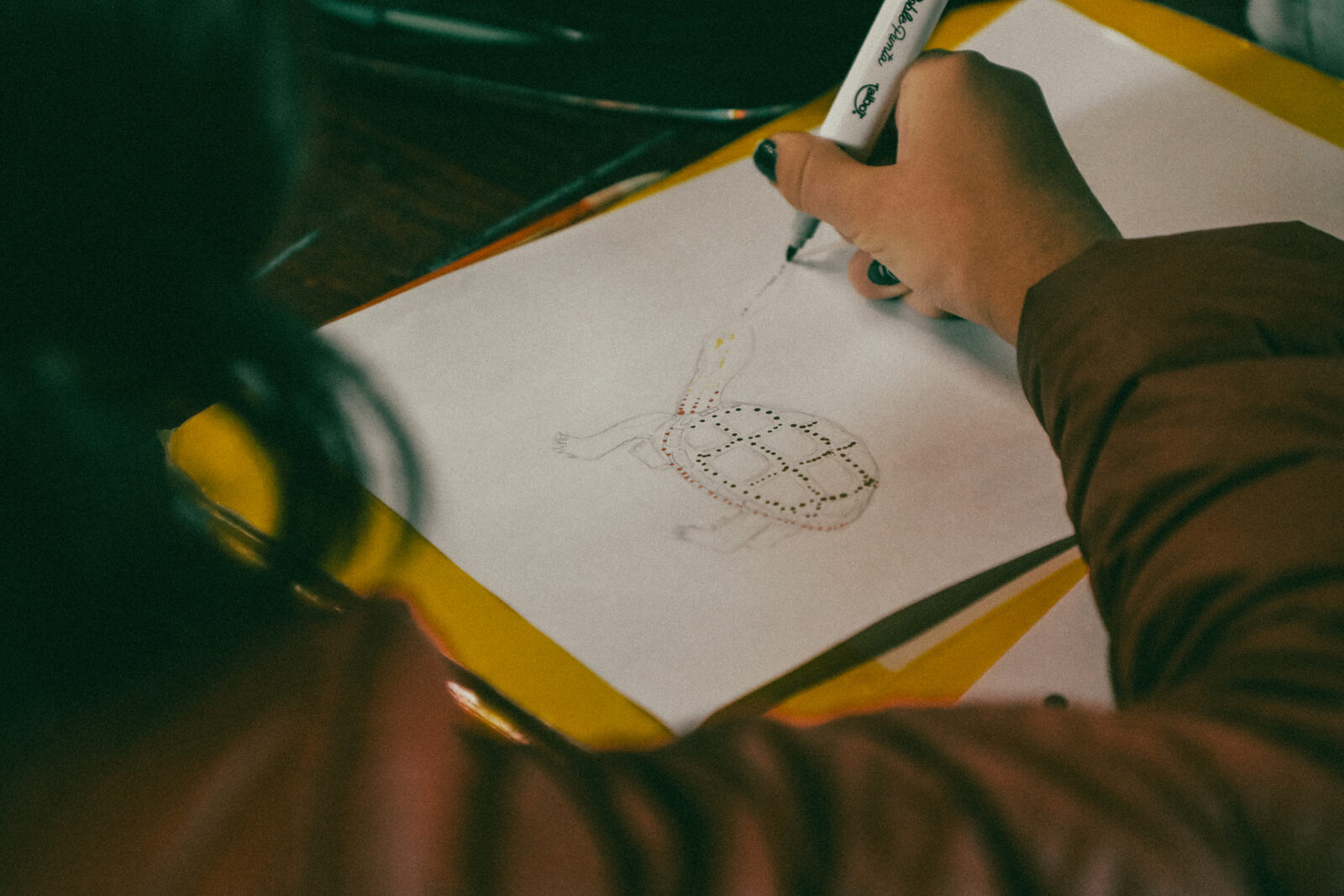 Fauna Ilustrada, trabajo en el aula, foto 1