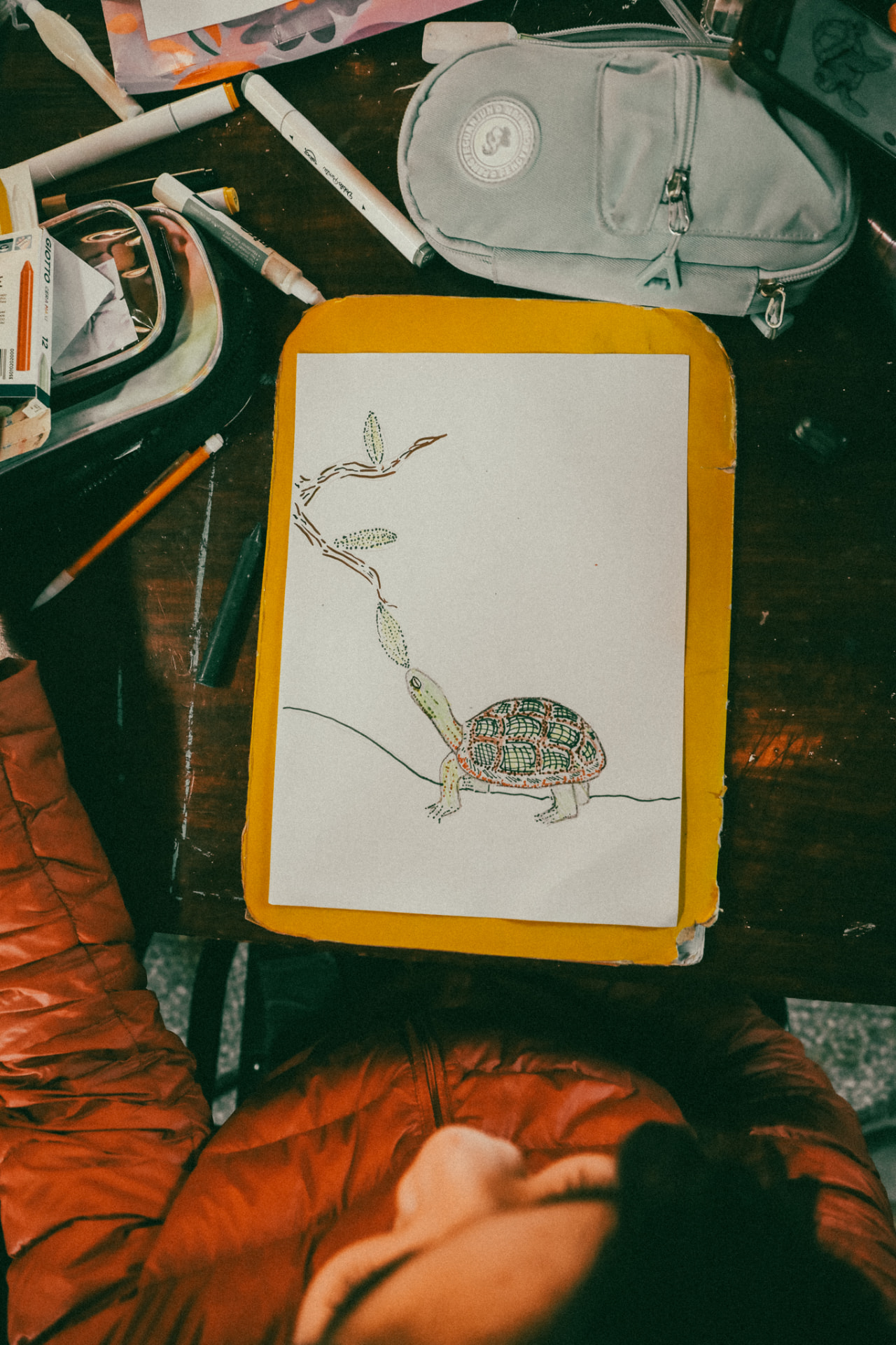 Fauna Ilustrada, trabajo en el aula, foto 2
