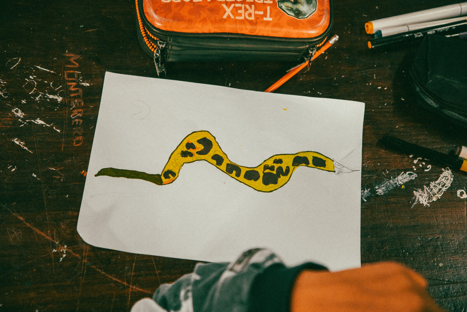 Fauna Ilustrada, trabajo en el aula, foto 6