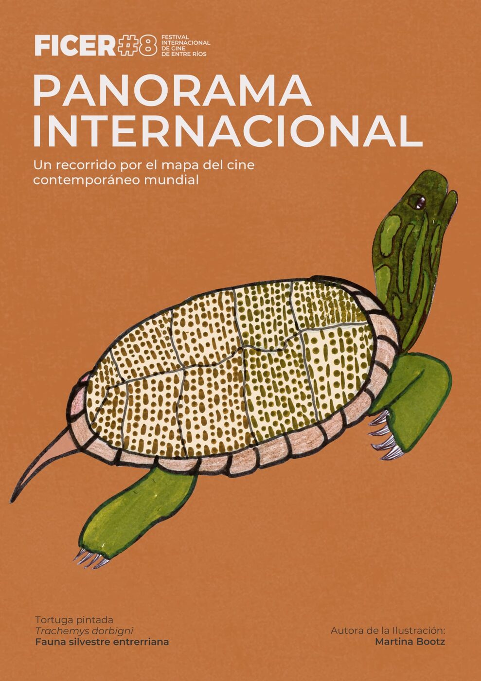 Panorama Internacional — Tortuga pintada